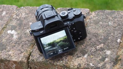 What’s the best camera type for old SLR lenses? Mirrorless!