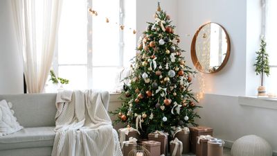 'Why is my Christmas tree drying out?' We asked experts to help you stop the drop