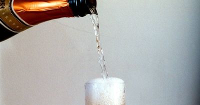 Here's 12 great sparkling wines for your holiday celebrations