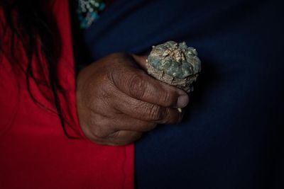 Peyote is the darling of the psychedelics renaissance. Indigenous users say it co-opts ‘a sacred way of life’