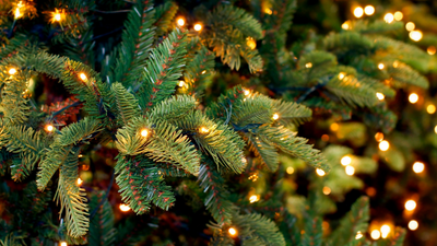 5 Christmas lights safety tips you need to follow this festive season