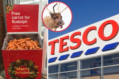 Quick! Tesco's FREE carrots for Rudolph are back while stocks last