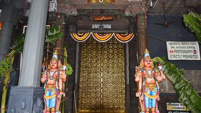No special darshan tickets at Parthasarathy Perumal temple on Vaikunta Ekadasi