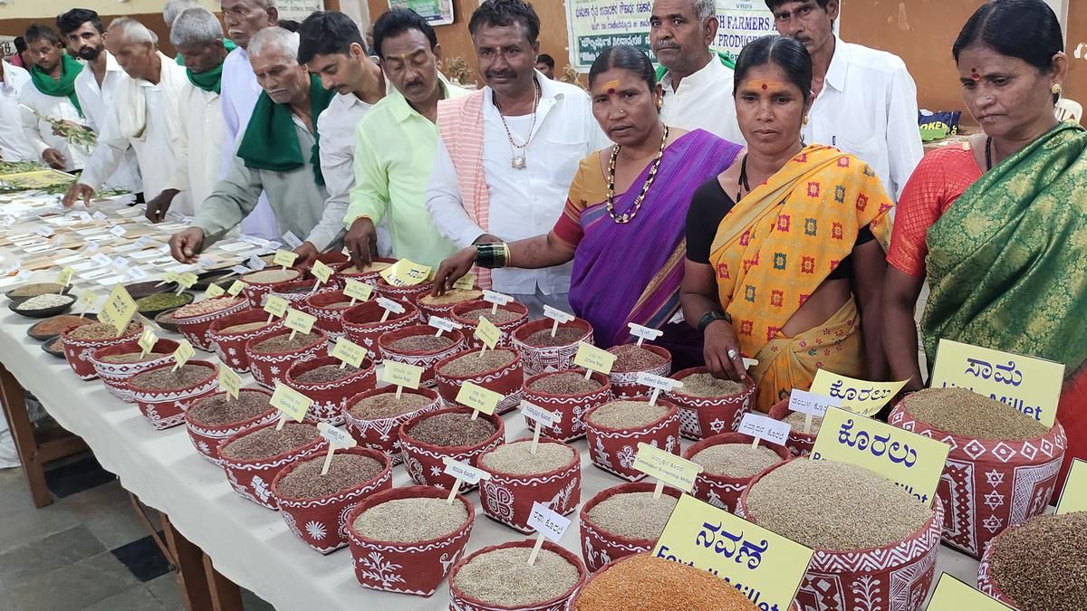 Government encouraging millet cultivation, says…