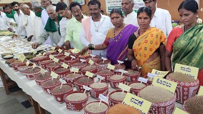 Government encouraging millet cultivation, says Minister