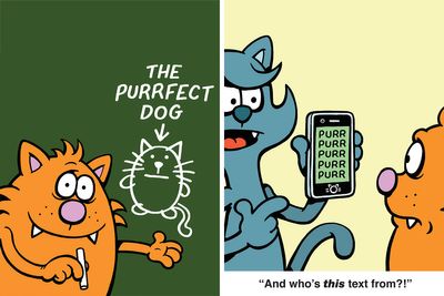 The Nature Of Cats: Artist Purrfectly Describes What Having A Cat Is Like In His 50 New Comics