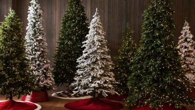When to take down a Christmas tree — according to the experts