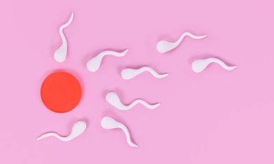 Plastics, pesticides and pills: how chemical exposures affect sperm health
