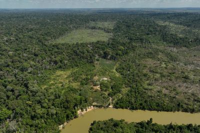 Takeaways from lawsuits accusing JBS, others of contributing to Amazon deforestation