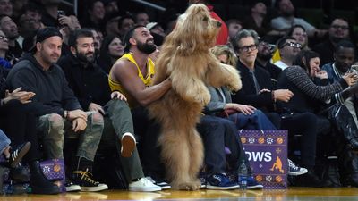 Famous Dog Stole the Show While Sitting Court-Side at Knicks-Lakers Game