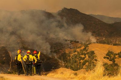 A known carcinogen is showing up in wildfire ash, and researchers are worried
