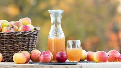 Can you make apple juice with a blender? Yes − here's how