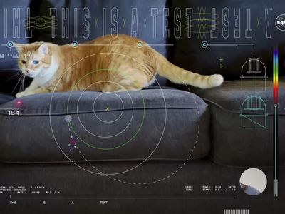 This cat video is out of this world, and NASA used a laser to beam it to Earth