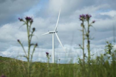 Experts find Scotland outperforms UK with green job opportunities in financial sector