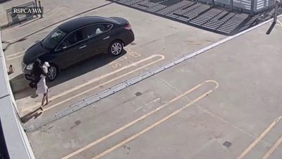 Shocking video shows Australian woman throwing her dog from top floor of multi-storey car park