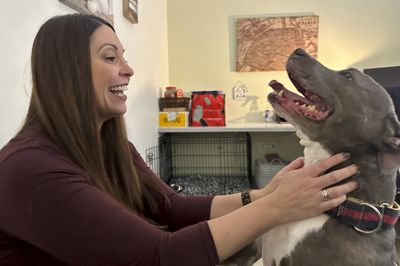 Shelters Struggle with Overflow as Pet Population Soars