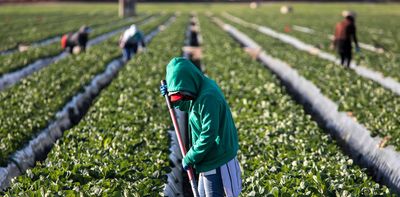 Migrant work is European agroindustry's biggest source of wealth and shame