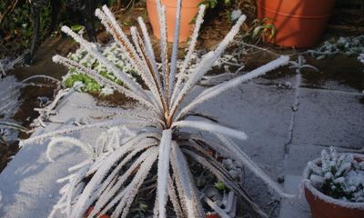 Rare ‘industrial snowfall’ thought to be caused by pollution recorded in UK