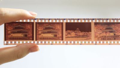 Digitizing film or prints is something every photographer should consider (and these are the five options to get the job done)