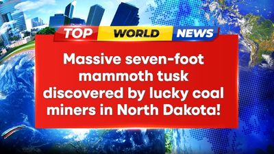Ancient mammoth tusk unearthed by miners stuns paleontologists!