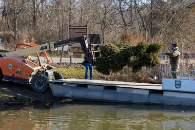 Kentucky Fish and Wildlife Resources asking for live Christmas trees for fish habitats