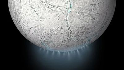 Finding life on Saturn's moon Enceladus might be easier than we thought