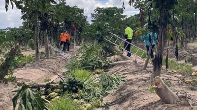 Cyclone crop damage to hit supply as farmers count cost