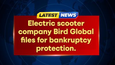 Bird Global Files for Bankruptcy as Electric Scooter Business Falters