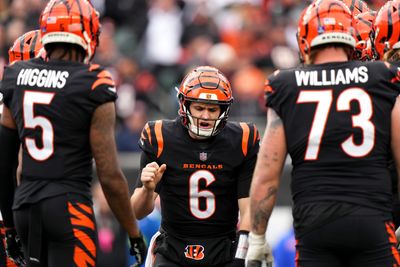 Bengals near a top-10 return to power rankings entering Week 16