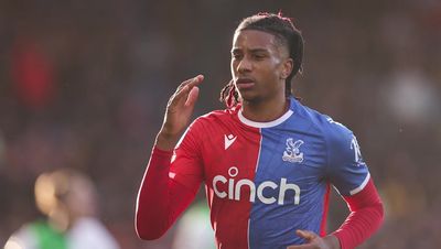 How to watch Crystal Palace vs Brighton: TV channel and live stream for Premier League today