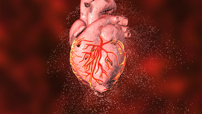 Genetics and Heart Disease: What you need to know