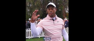 The 10 funniest Tiger Woods ‘big dog’ meme we’ve seen