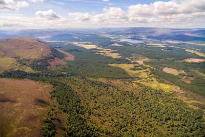 Woodland regeneration at Scottish nature reserve increases after intervention