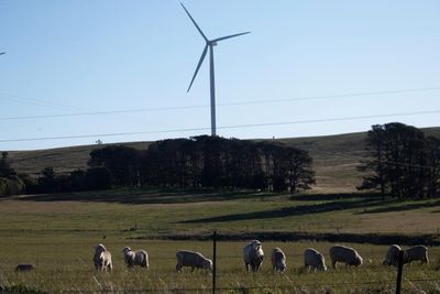 Gina Rinehart says renewable energy could use one-third of Australia’s prime agricultural land. Is she right?