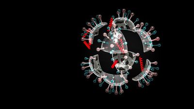 As JN.1 emerges as variant of interest, time to evaluate preparedness and effective testing and treatments