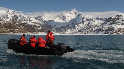 Octopus DNA gives clues about Antarctic ice melt