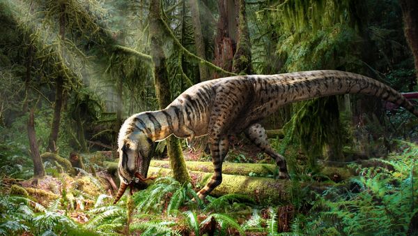 The T. rex Escapes the Paddock in 4K HDR