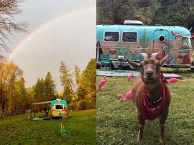 Couple travels 60,000 miles with pet goat in Airstream