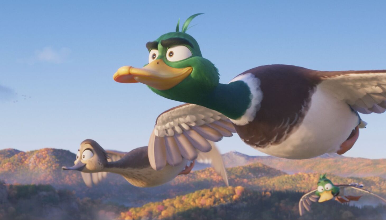 ‘Migration’: Cartoon ducks never spread their wings in…