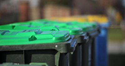 Christmas bin collection will come early for some. Is your suburb affected?