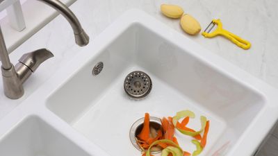 How to clean a garbage disposal — in 7 easy steps