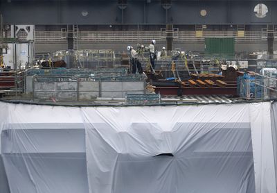 Economic Rollercoaster: Japan's Nov Industrial Output Contracts Again