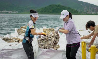 From sea to plate … to sea! Hong Kong puts oyster shells to new use