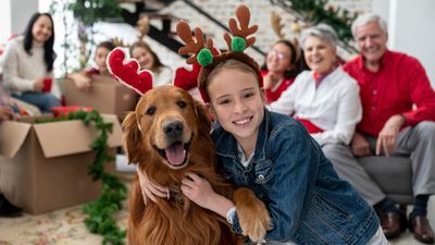Two reasons why you should create a Christmas exit plan for your dog this festive season, according to an expert
