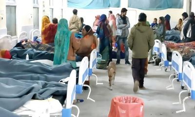 Madhya Pradesh: Stray dog spotted roaming inside patient ward in Chhatarpur district hospital; CMHO orders strict action