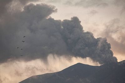 Ash from Indonesia's Marapi volcano forces airport to close and stops flights