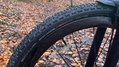 Schwalbe G-One Ultrabite gravel tire review – can you have too much grip on a gravel bike?