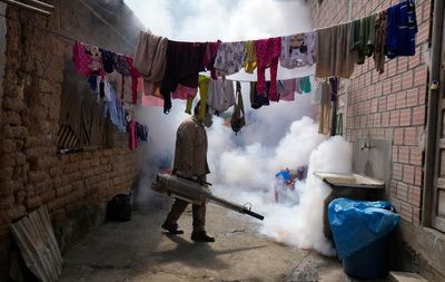 UN health agency cites tenfold increase in reported cases of dengue over the last generation