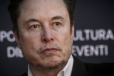 Elon Musk warns, ‘If you need encouragement to start a company, don’t do it’