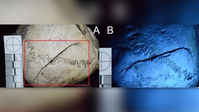 Skull with 'execution-style wounds' suggests woman died due to enslavement or suspected sorcery in colonial Indonesia